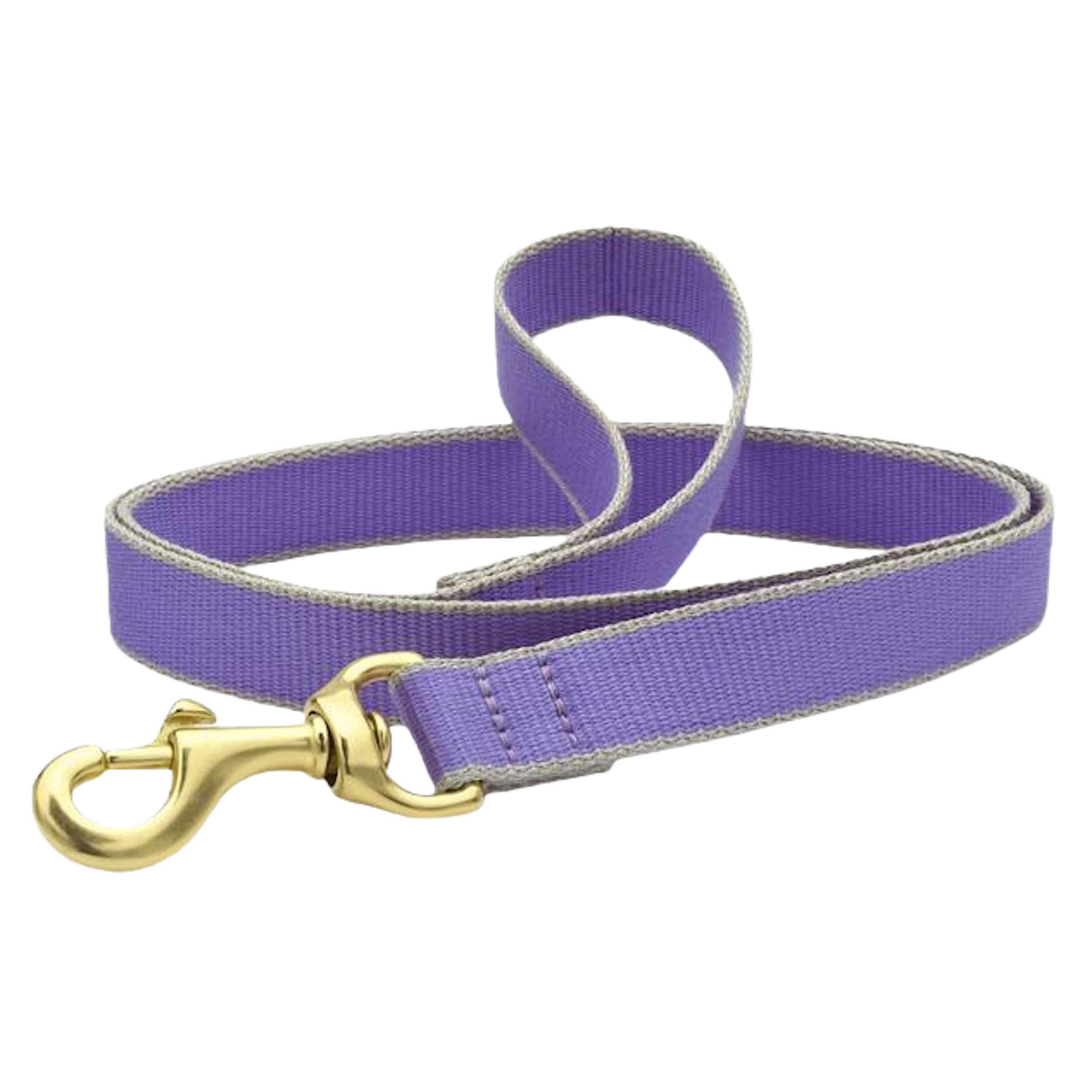 purple-gray-dog-leash
