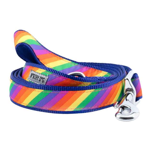 rainbow-dog-leash
