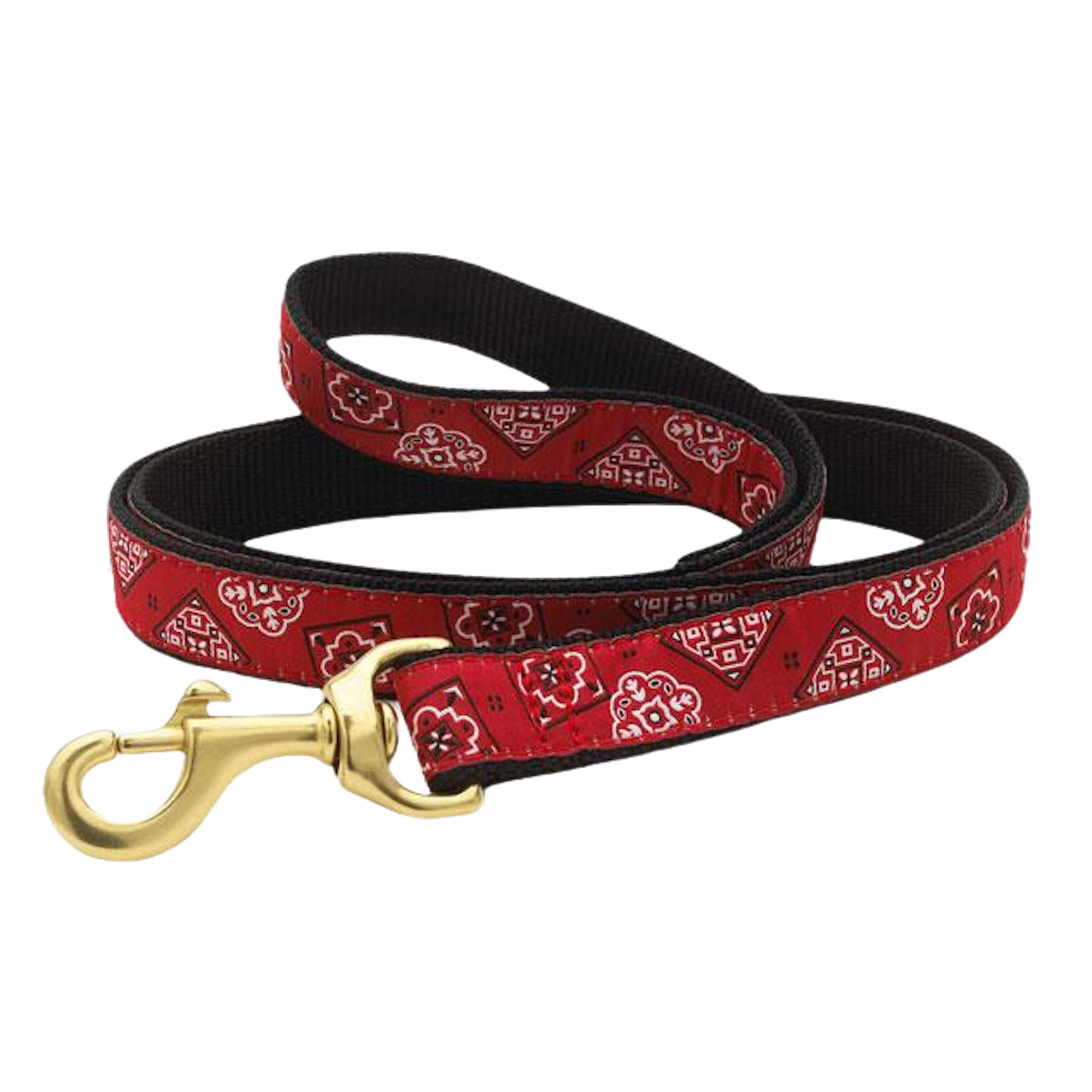 red-bandana-dog-leash