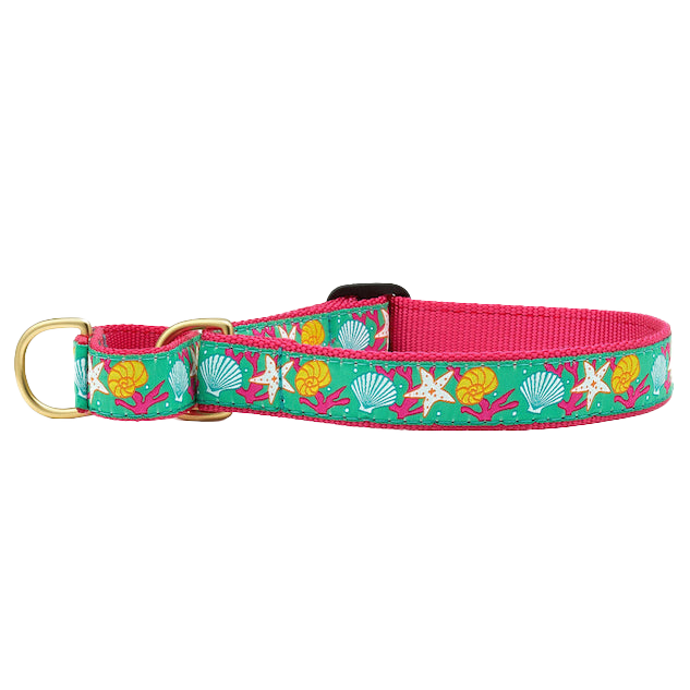 REEF-DOG-COLLAR-MARTINGALE-NO-PULL