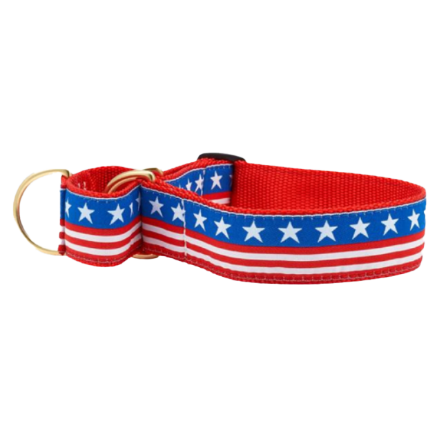 STARS-STRIPES-DOG-COLLAR-MARTINGALE-EXTRA-WIDE-LARGE-BREED-NO-PULL