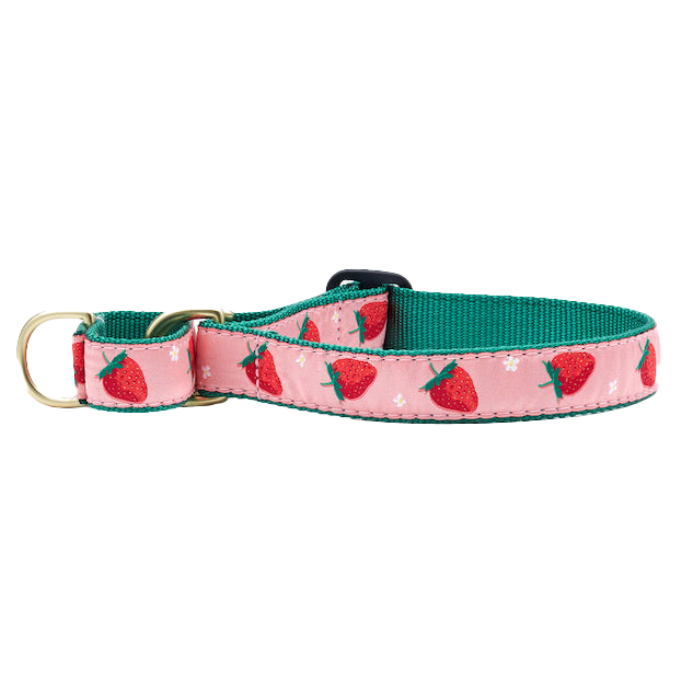 STRAWBERRY-FIELDS-DOG-COLLAR-MARTINGALE-NO-PULL
