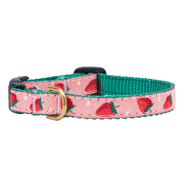 STRAWBERRY-FIELDS-DOG-COLLAR-SMALL-BREED-TEACUP