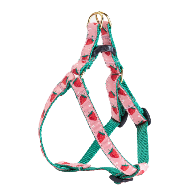 Dog harness small breed 2025