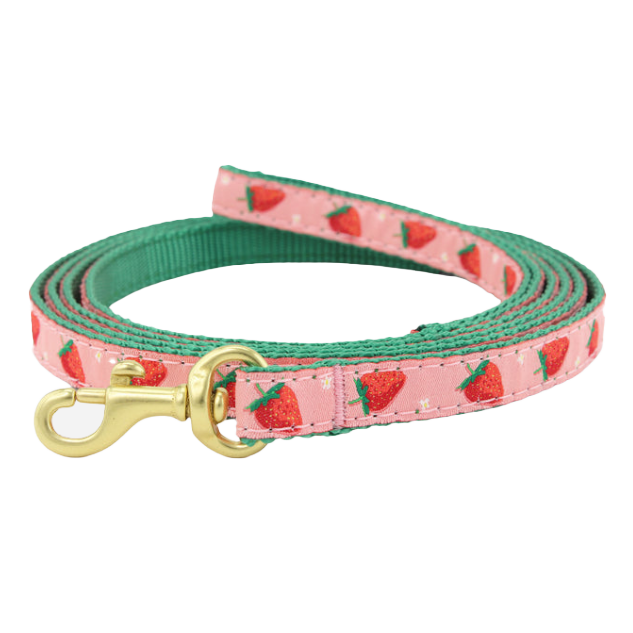 STRAWBERRY-FIELDS-DOG-LEASH-SMALL-BREED-TEACUP