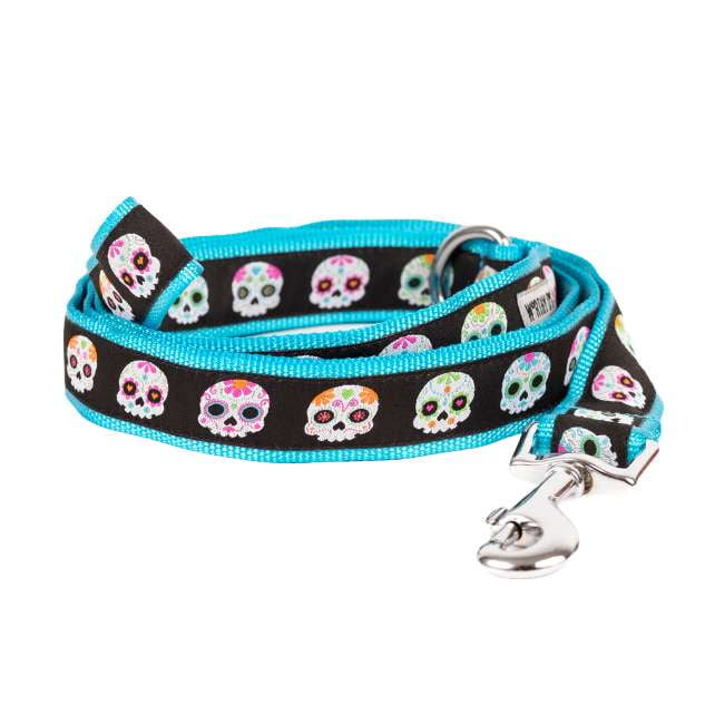 sugar-skulls-blue-dog-leash