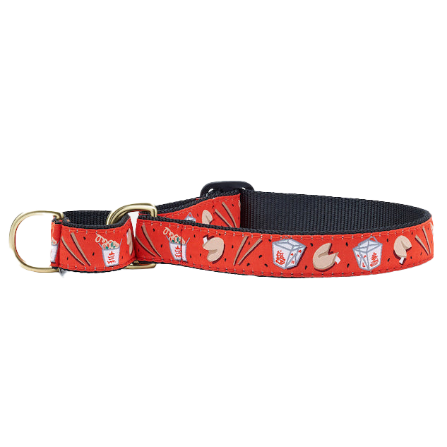 TAKE-OUT-DOG-COLLAR-MARTINGALE-NO-PULL