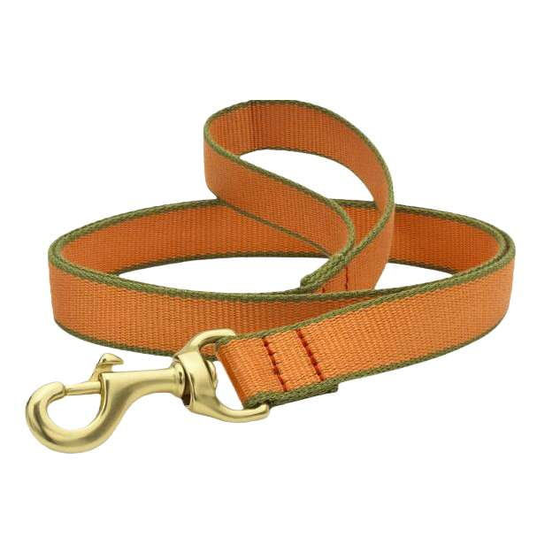 tangerine-pine-dog-leash