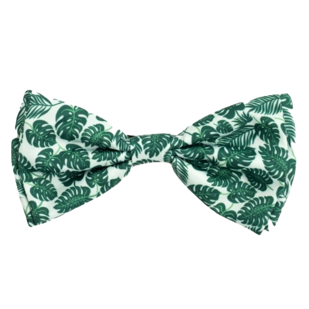 TROPICAL-LEAVES-DOG-BOW-TIE